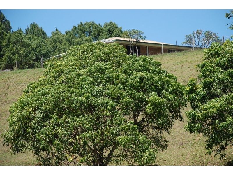 Dunbible NSW 2484