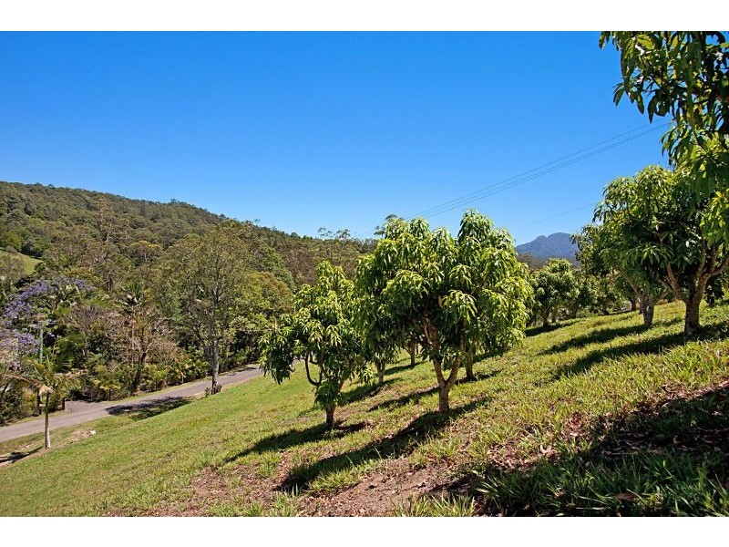 Kunghur Creek NSW 2484