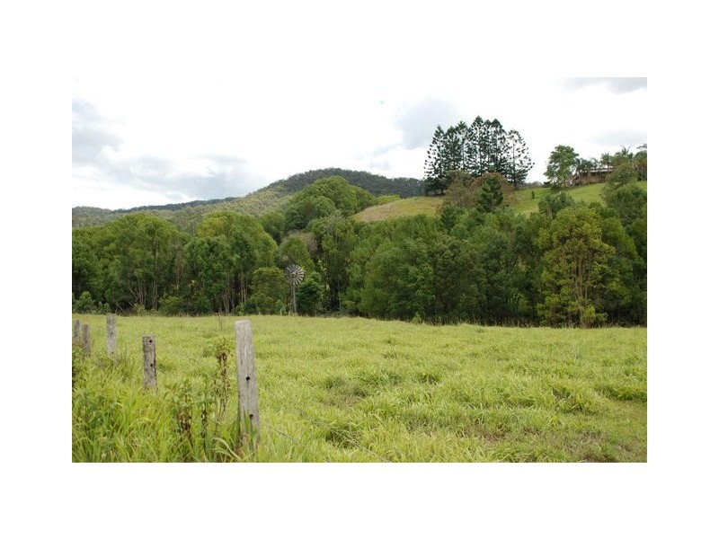 Smiths Creek NSW 2484