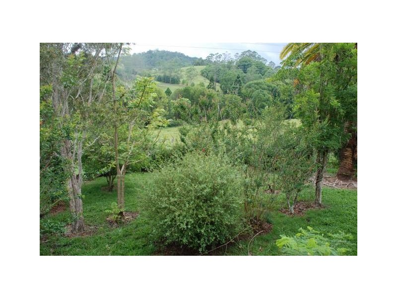 Smiths Creek NSW 2484