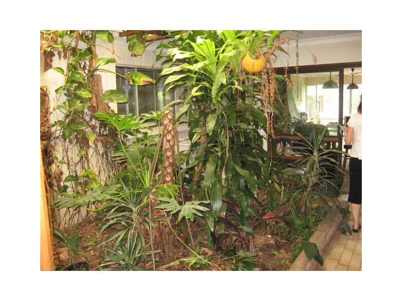 83 Nolans Road, Stokers Siding NSW 2484