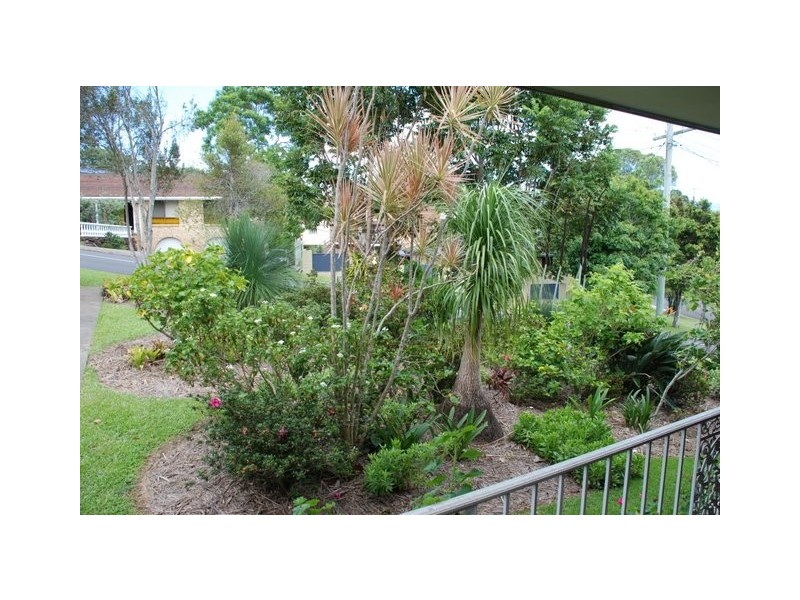 Murwillumbah NSW 2484