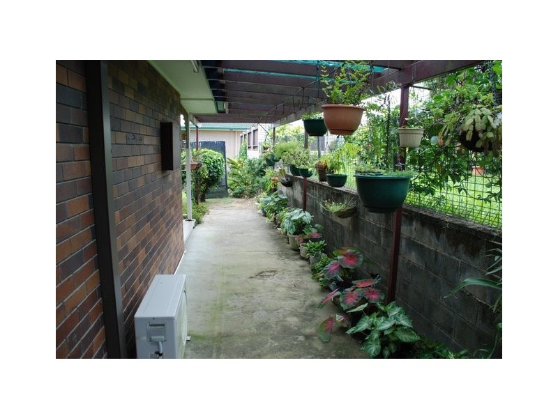 Murwillumbah NSW 2484