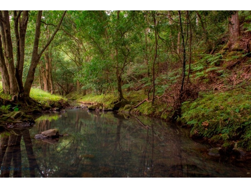 Cobaki NSW 2486