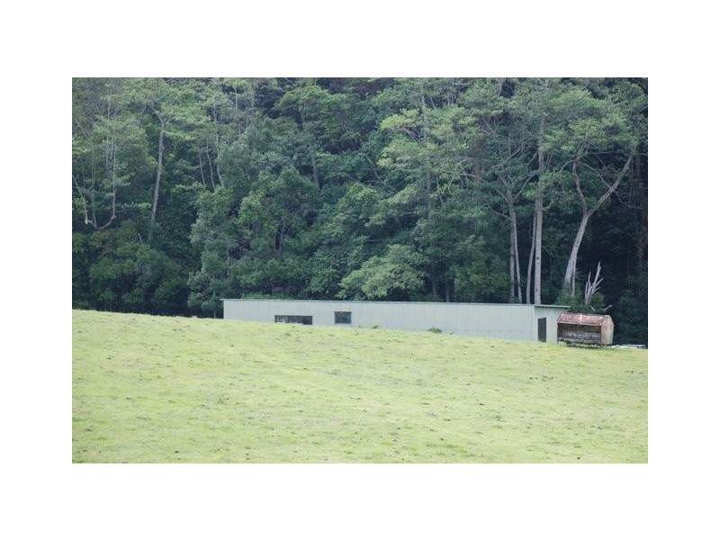 Cobaki NSW 2486