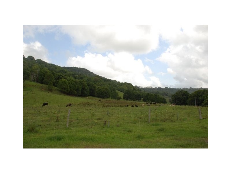 Cobaki NSW 2486