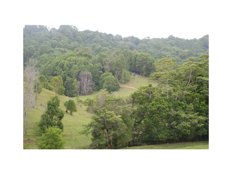 Cobaki NSW 2486