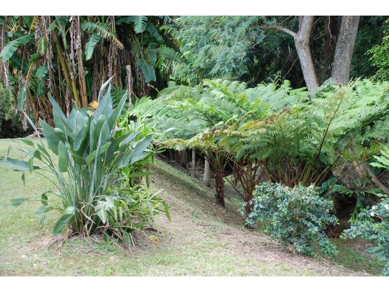 1510 Kyogle Road, Uki NSW 2484