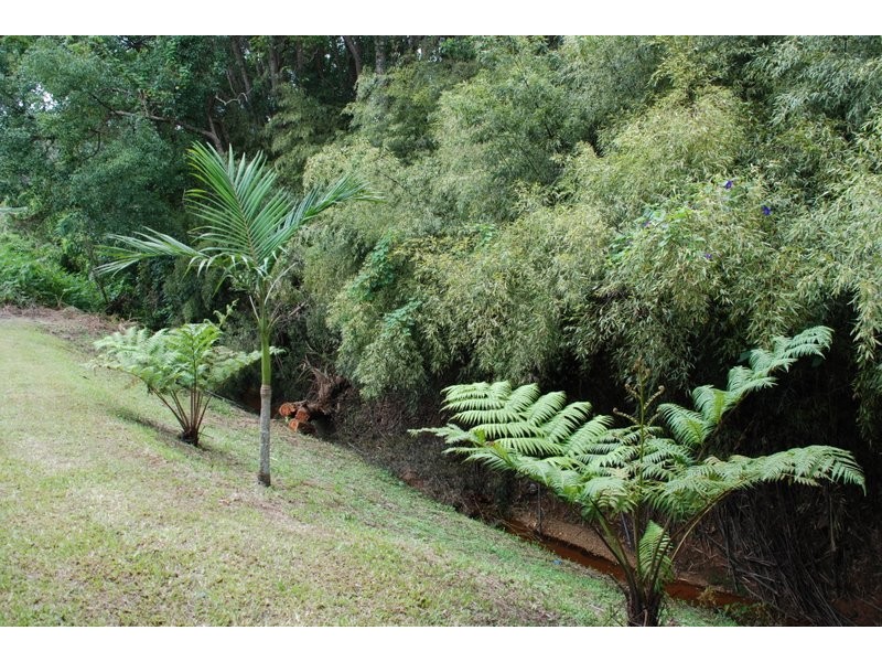 1510 Kyogle Road, Uki NSW 2484