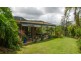 Eungella NSW 2484