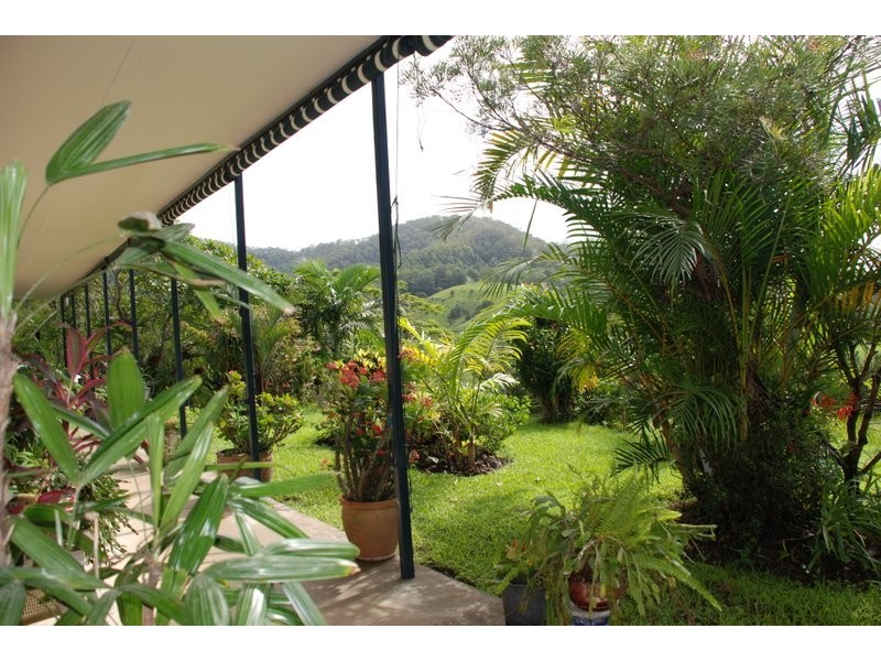 Eungella NSW 2484