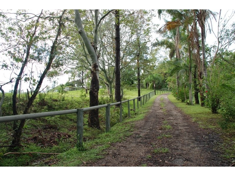 Eungella NSW 2484