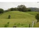 Eungella NSW 2484