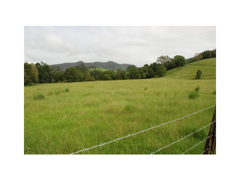 Eungella NSW 2484