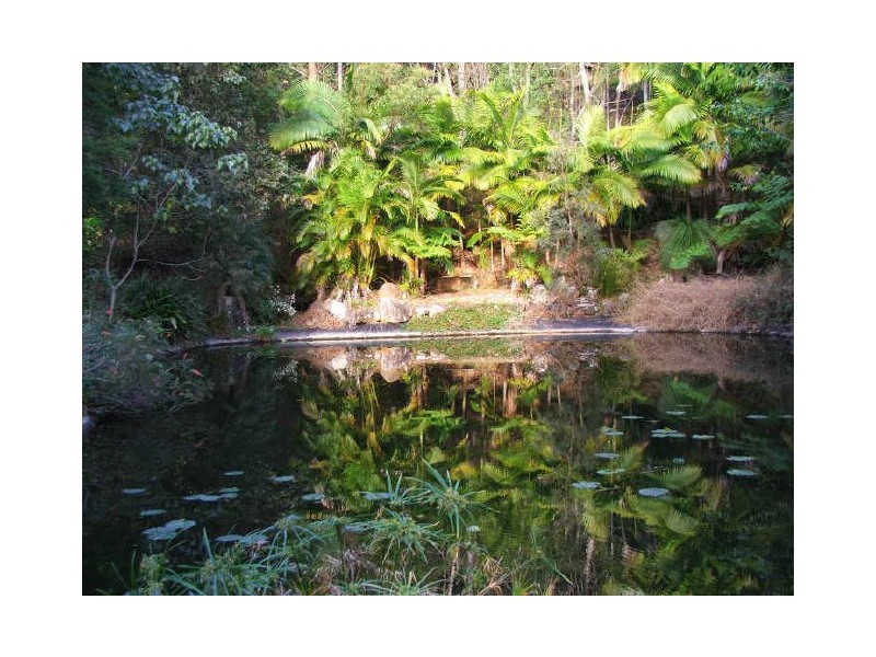 6916 Tweed Valley Way, Dunbible NSW 2484