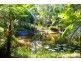 6916 Tweed Valley Way, Dunbible NSW 2484