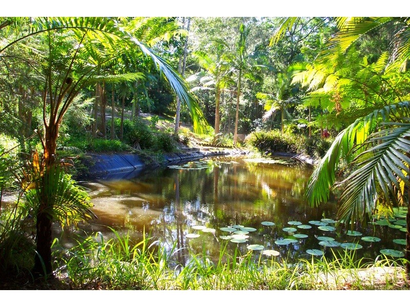 6916 Tweed Valley Way, Dunbible NSW 2484