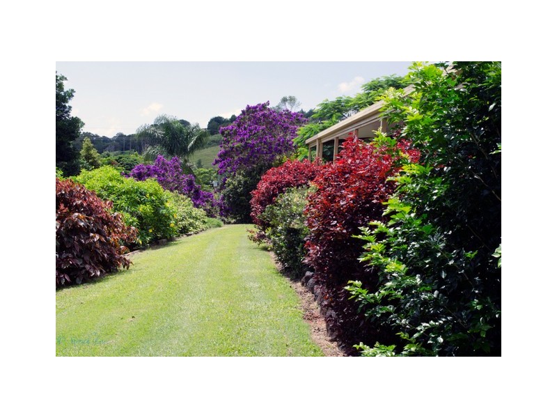 7 Donalyn Court, Murwillumbah NSW 2484