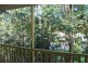 498 Tweed Valley Way, Murwillumbah NSW 2484