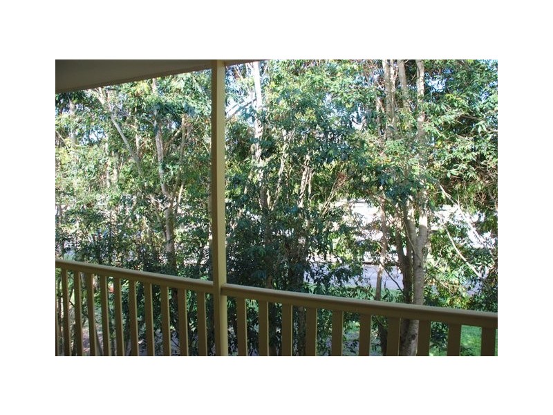 498 Tweed Valley Way, Murwillumbah NSW 2484
