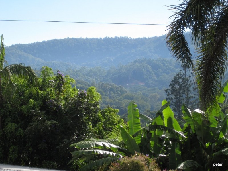 2 Ryder Street, Uki NSW 2484