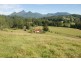 Smiths Creek NSW 2484