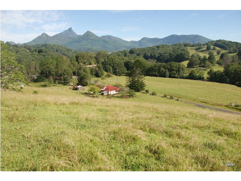 Smiths Creek NSW 2484