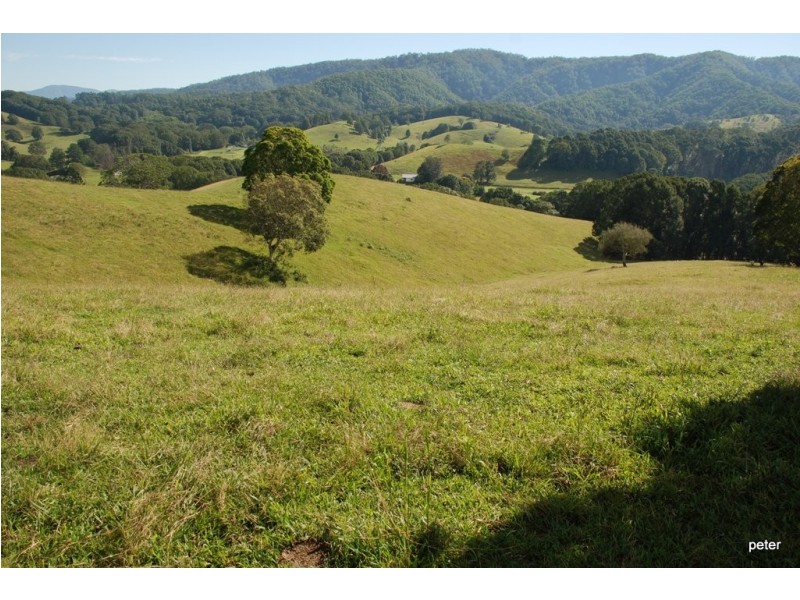 Smiths Creek NSW 2484