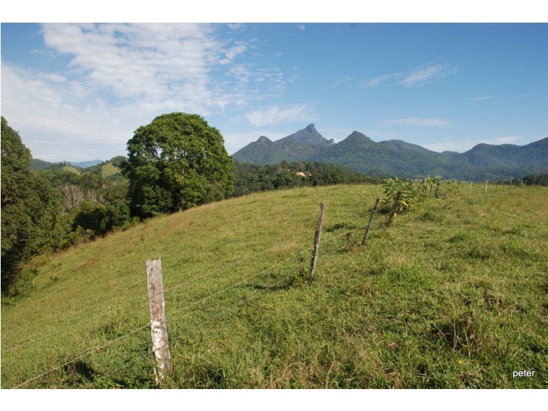 Smiths Creek NSW 2484