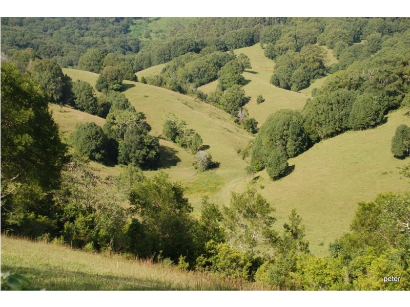 Smiths Creek NSW 2484