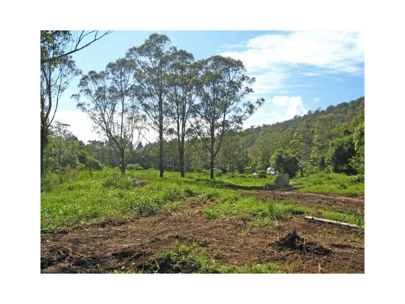 Eungella NSW 2484