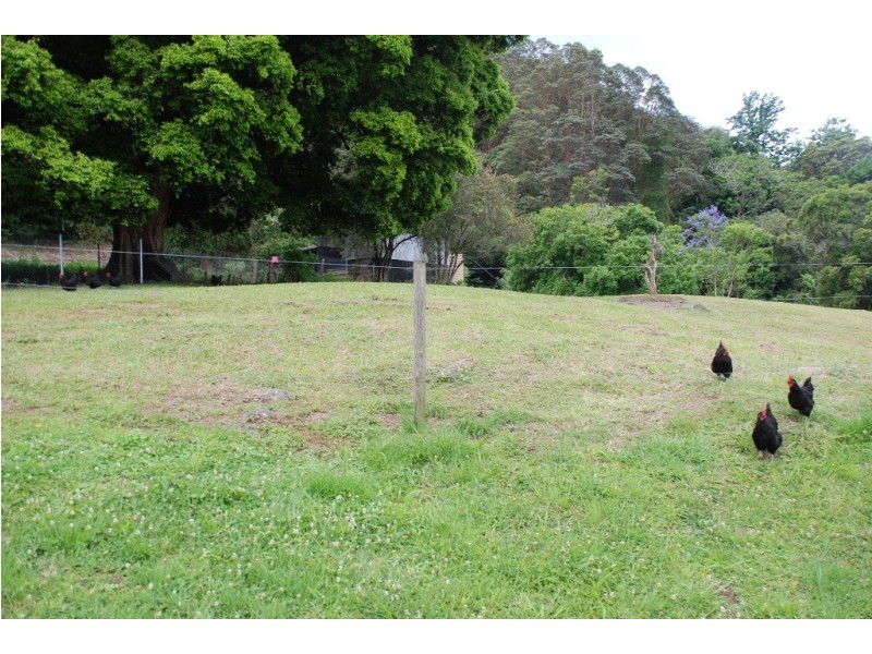 Tyalgum NSW 2484