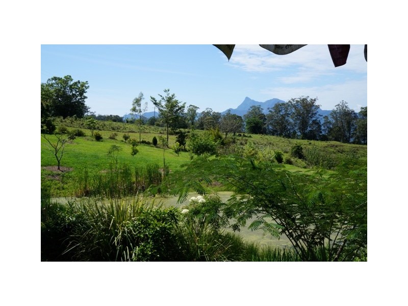 Tyalgum NSW 2484