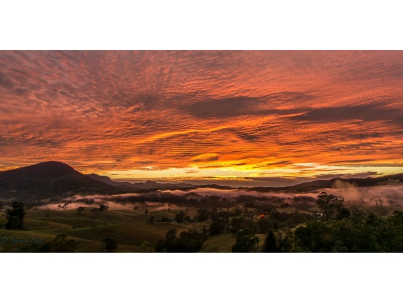 Tyalgum NSW 2484