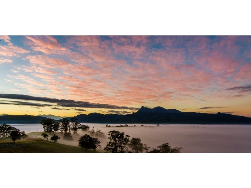 Tyalgum NSW 2484