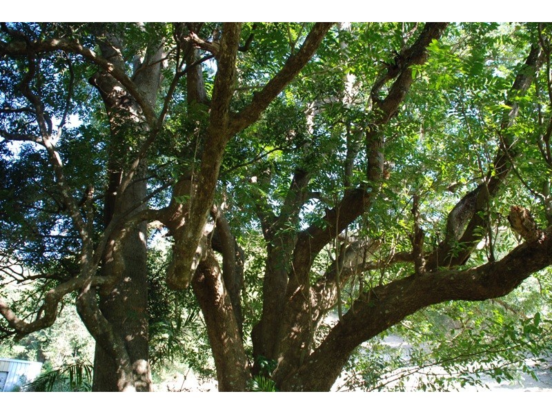 103 Hunter Street, Burringbar NSW 2483