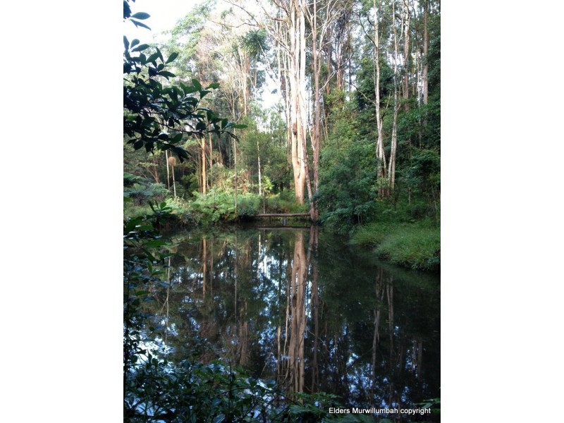 52 Wallaby Court, Stokers Siding NSW 2484