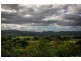 Murwillumbah NSW 2484
