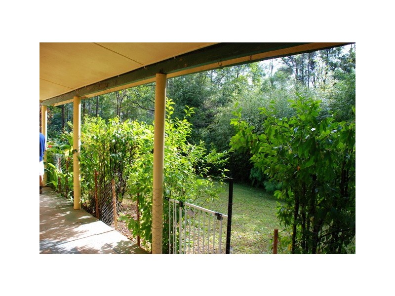 669 Hopkins Creek Road, Hopkins Creek NSW 2484