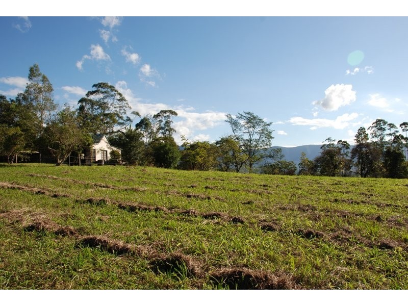 Brays Creek NSW 2484