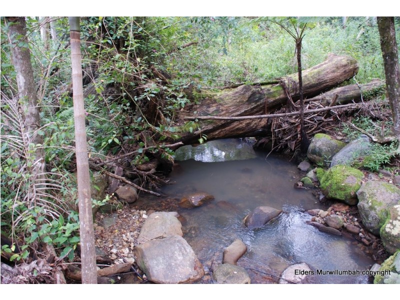 Brays Creek NSW 2484