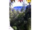 656 Upper Crystal Creek Rd, Crystal Creek NSW 2484