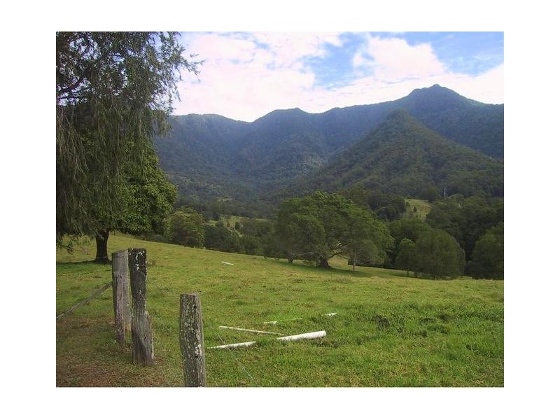 118 Stoddarts Road, Tyalgum NSW 2484