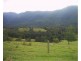 118 Stoddarts Road, Tyalgum NSW 2484