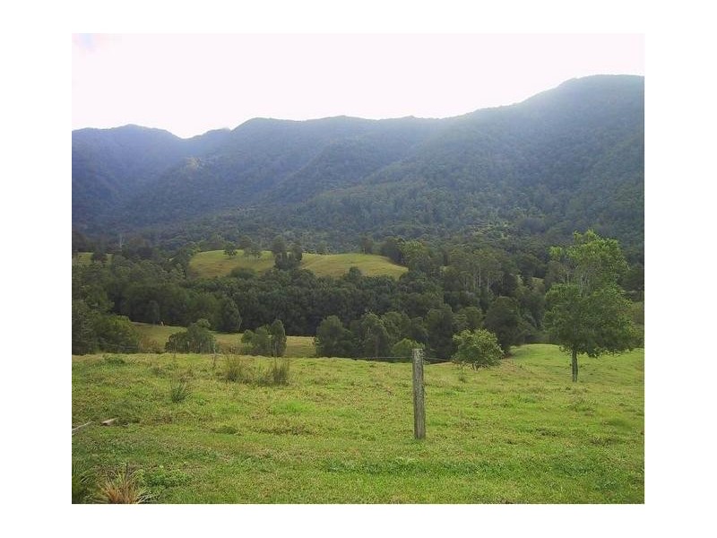 118 Stoddarts Road, Tyalgum NSW 2484