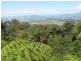 16 Athelstan Terrace, Tomewin NSW 2484