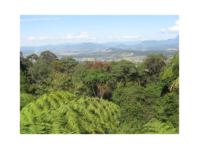 16 Athelstan Terrace, Tomewin NSW 2484
