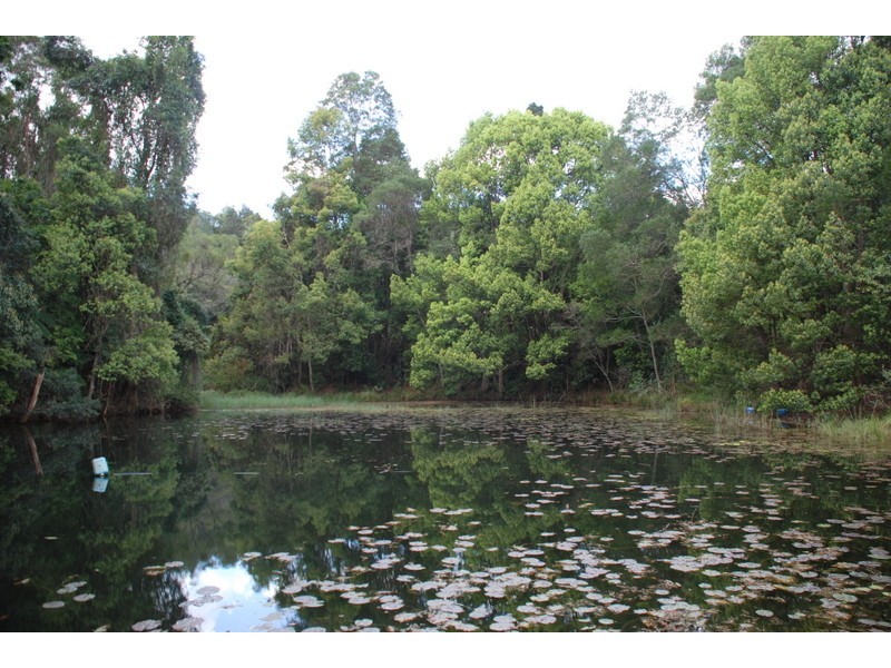 Chowan Creek NSW 2484