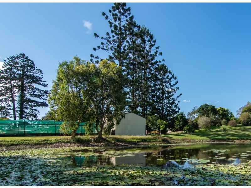 25 Pinegold Place, Nunderi NSW 2484