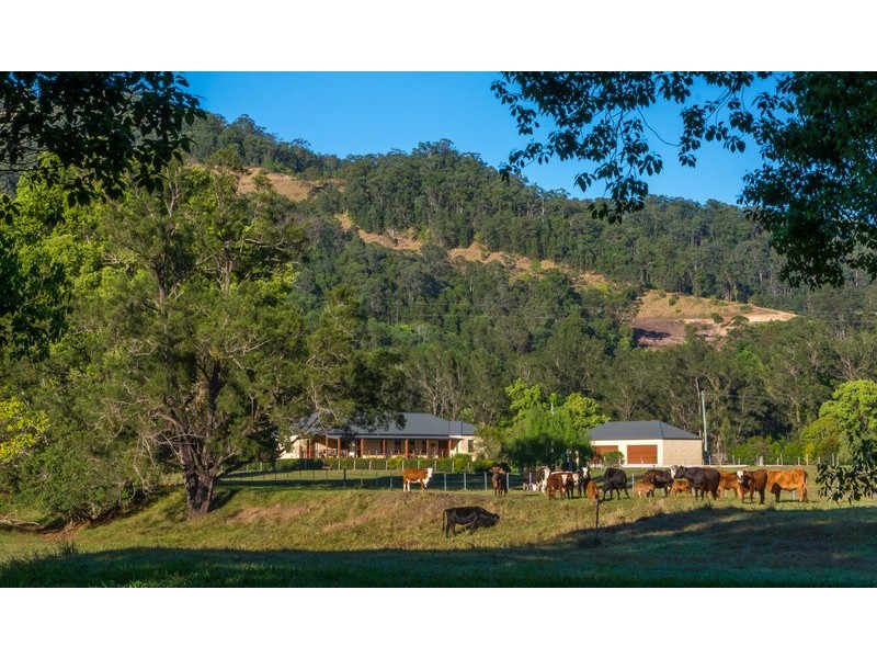 Crystal Creek NSW 2484